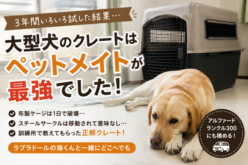 【実体験】ラブラドールにおすすめのクレートはペットメイト!3年間使って分かった失敗しない選び方